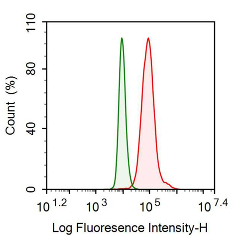 Anti-Dickkopf Related Protein 1 (DKK1) Monoclonal Antibody