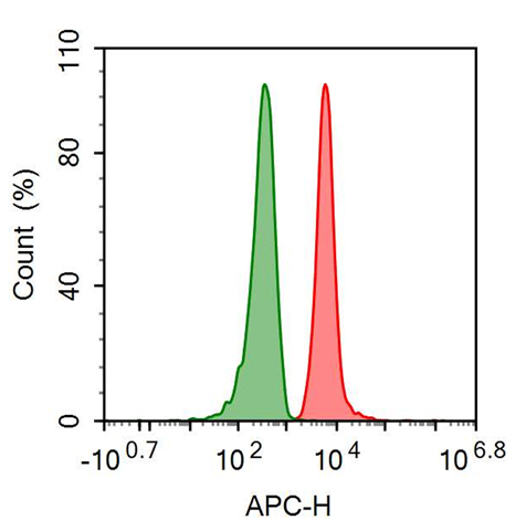 APC-Linked Anti-Epidermal Growth Factor Receptor (EGFR) Polyclonal Antibody