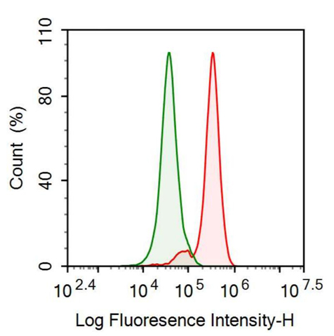 Anti-Osteonectin (ON) Polyclonal Antibody