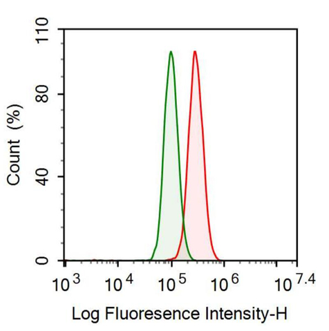 Anti-Osteonectin (ON) Monoclonal Antibody