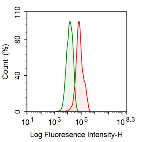 Anti-Angiotensinogen (AGT) Monoclonal Antibody