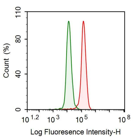 Anti-Coagulation Factor II (F2) Monoclonal Antibody