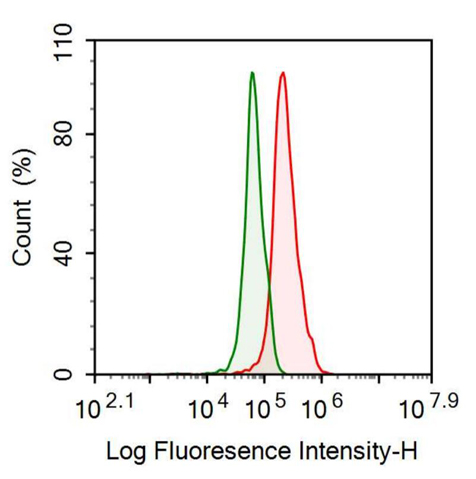 Anti-Inhibin Beta A (INHbA) Monoclonal Antibody