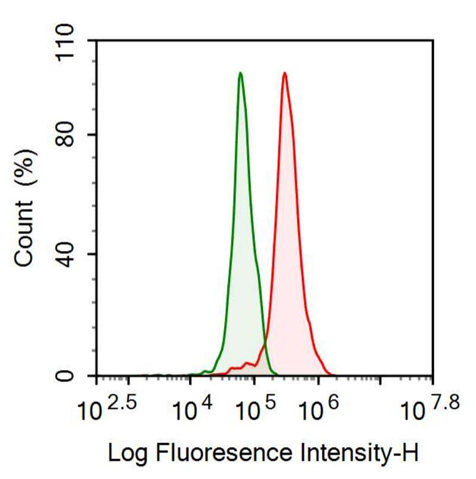 Anti-Inhibin Beta A (INHbA) Monoclonal Antibody