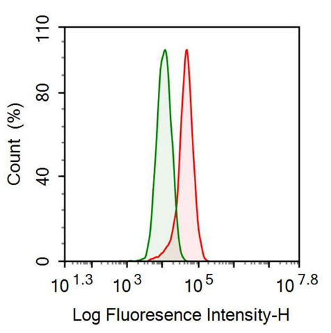 Anti-Prolactin (PRL) Monoclonal Antibody