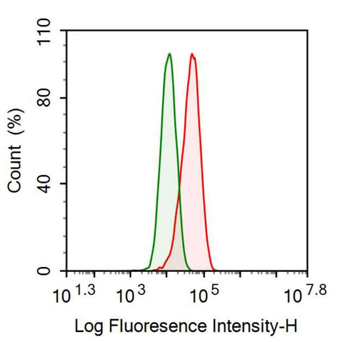 Anti-Prolactin (PRL) Monoclonal Antibody