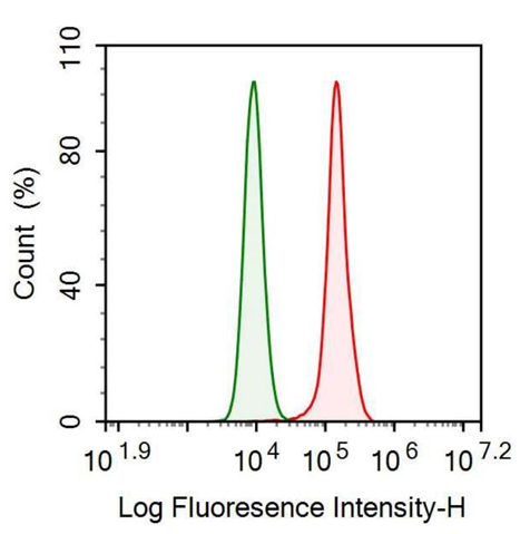 Anti-Serum Amyloid A (SAA) Monoclonal Antibody