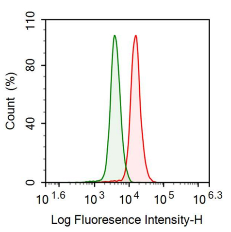 Anti-Tryptase (TPS) Monoclonal Antibody