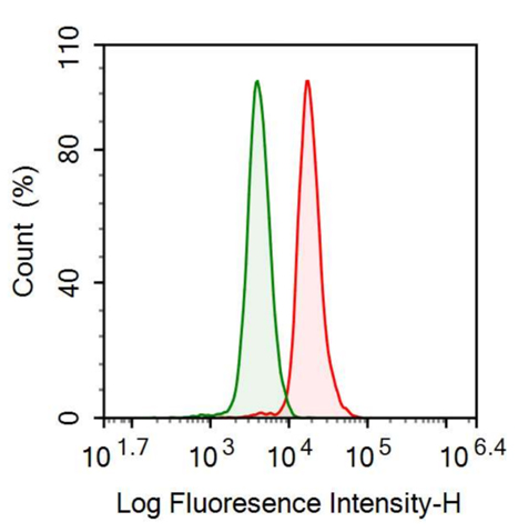 Anti-Tryptase (TPS) Monoclonal Antibody
