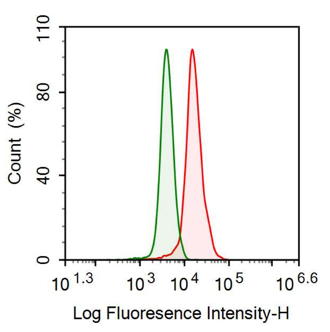 Anti-Tryptase (TPS) Monoclonal Antibody