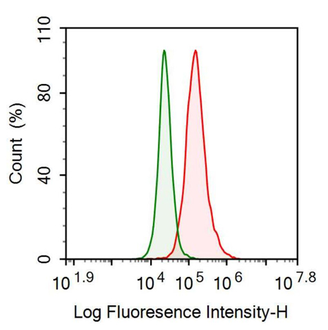 Anti-Heat Shock 70kDa Protein 1A (HSPA1A) Monoclonal Antibody