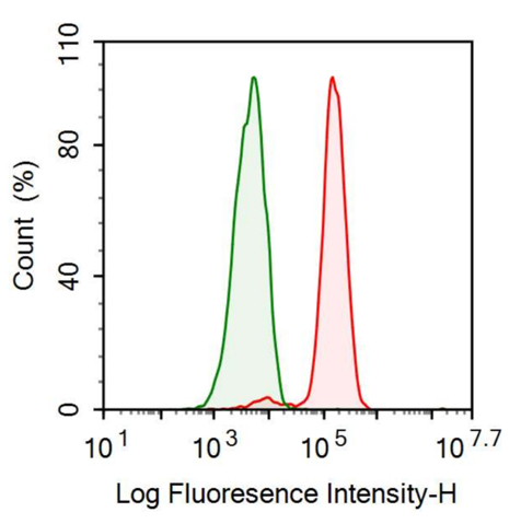 Anti-Glutathione S Transferase Pi (GSTp) Monoclonal Antibody