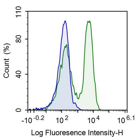 Anti-Motility Related Protein (MRP1) Monoclonal Antibody