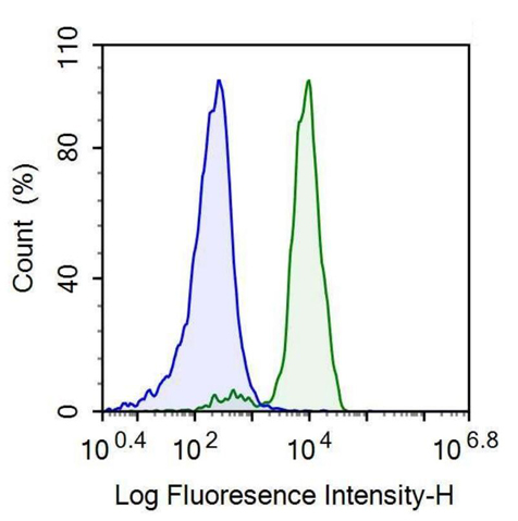 Anti-Cluster Of Differentiation 42b (CD42b) Monoclonal Antibody