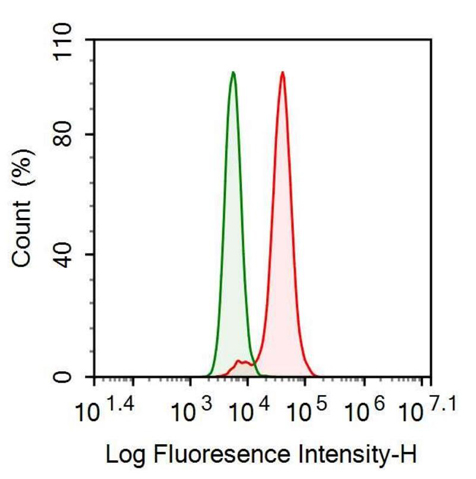 Anti-VGF Nerve Growth Factor Inducible (VGF) Monoclonal Antibody