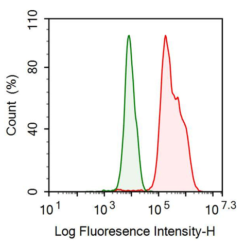 Anti-VGF Nerve Growth Factor Inducible (VGF) Monoclonal Antibody