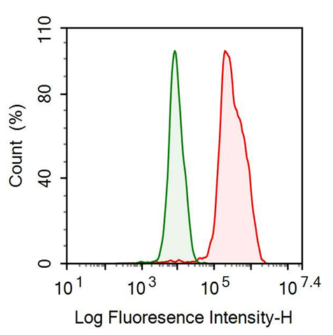 Anti-VGF Nerve Growth Factor Inducible (VGF) Monoclonal Antibody