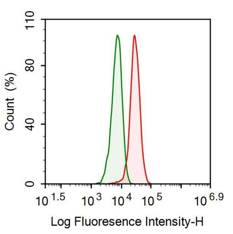 Anti-Plasminogen (Plg) Polyclonal Antibody