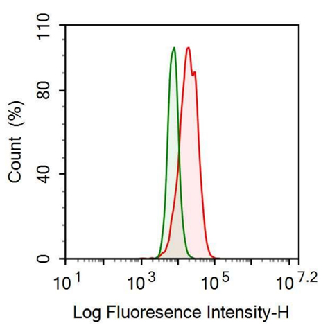 Anti-Neutrophil gelatinase-associated lipocalin (NGAL) Monoclonal Antibody