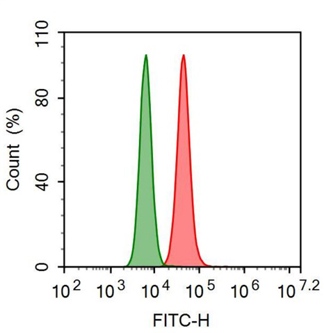 FITC-Linked Anti-Nectin 2 (NECTIN2) Polyclonal Antibody