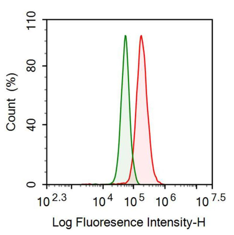 Anti-Inhibin Beta B (INHbB) Monoclonal Antibody