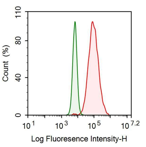 Anti-Lectin Galactoside Binding, Soluble 3 Binding Protein (LGALS3BP) Monoclonal Antibody