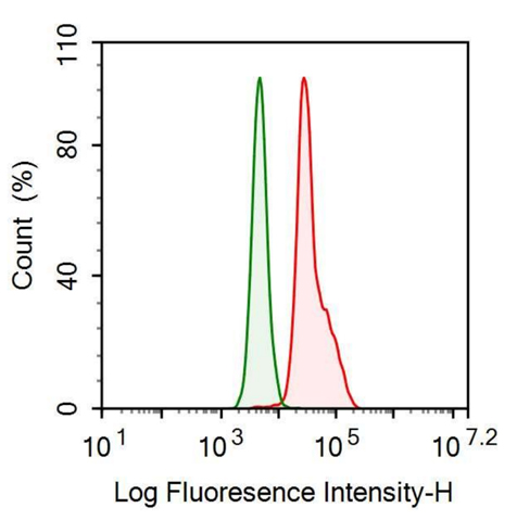 Anti-Lectin Galactoside Binding, Soluble 3 Binding Protein (LGALS3BP) Monoclonal Antibody