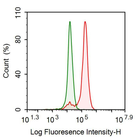 Anti-Selenoprotein P1, Plasma (SEPP1) Monoclonal Antibody
