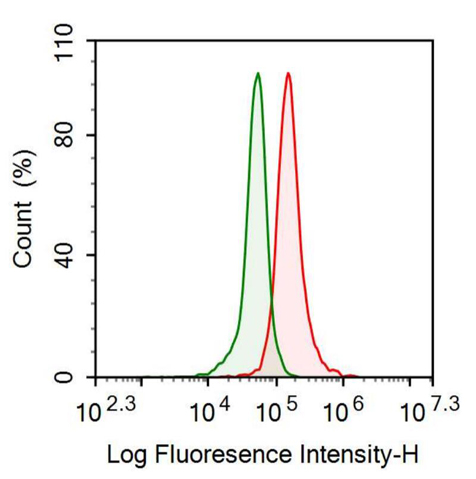 Anti-Hepcidin (Hepc) Monoclonal Antibody