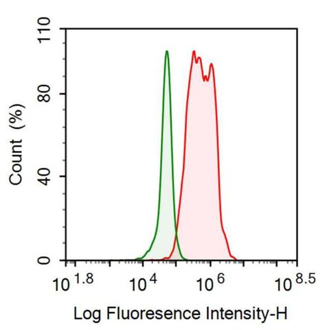 Anti-Hepcidin (Hepc) Monoclonal Antibody