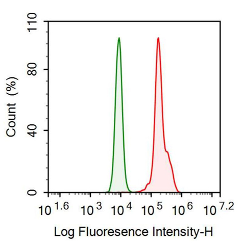 Anti-Cytokeratin 8 (CK8) Monoclonal Antibody