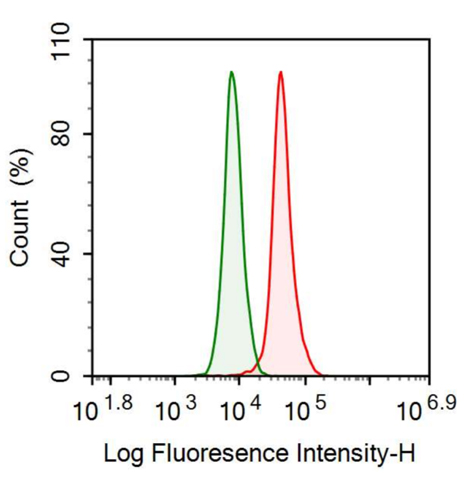 Anti-Barrier To Autointegration Factor 1 (BANF1) Polyclonal Antibody
