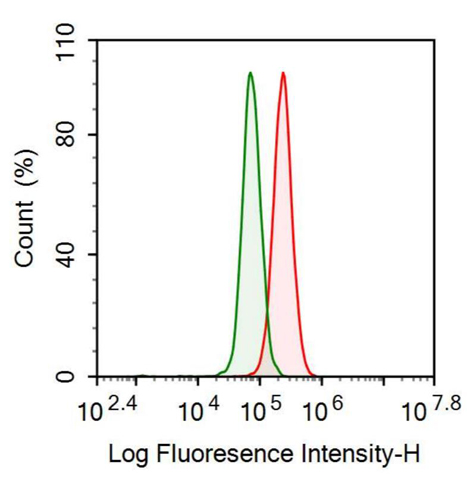 Anti-Cathelicidin Antimicrobial Peptide (CAMP) Monoclonal Antibody