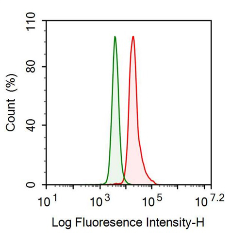 Anti-Methionine Sulfoxide Reductase A (MSRA) Monoclonal Antibody