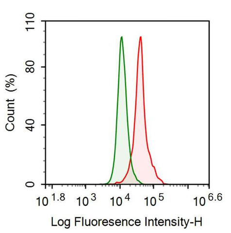 Anti-Tumor Susceptibility Gene 101 (TSG101) Monoclonal Antibody
