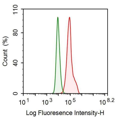 Anti-Ferritin, Light Polypeptide (FTL) Monoclonal Antibody