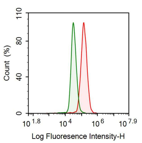 Anti-Lipase Maturation Factor 2 (LMF2) Polyclonal Antibody