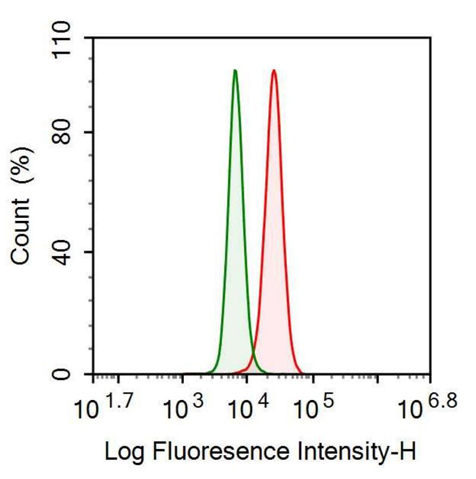 Anti-Secreted Frizzled Related Protein 4 (SFRP4) Polyclonal Antibody