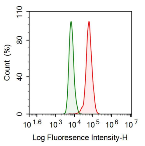Anti-Mdm2 p53 Binding Protein Homolog (MDM2) Monoclonal Antibody