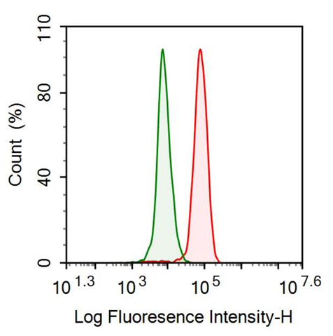 Anti-Periostin (POSTN) Polyclonal Antibody