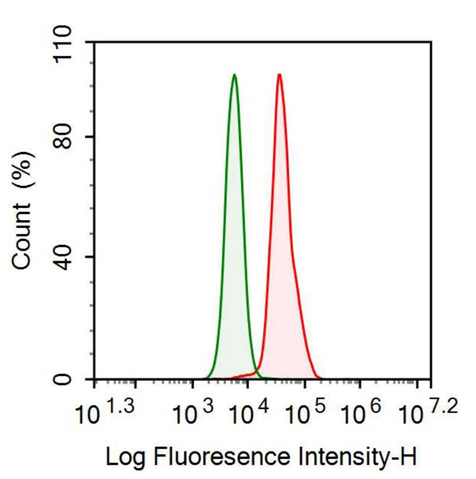 Anti-Follistatin Like Protein 1 (FSTL1) Monoclonal Antibody