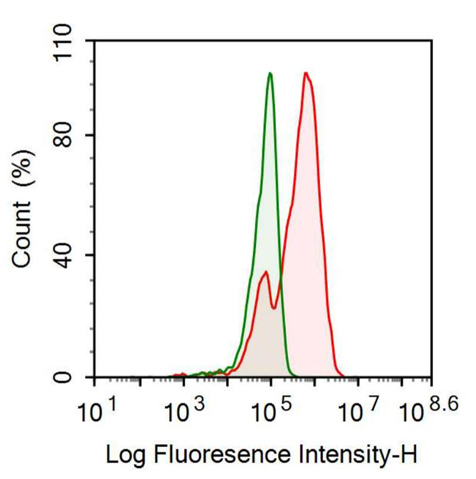 Anti-Alpha-2-Glycoprotein 1, Zinc Binding (aZGP1) Monoclonal Antibody