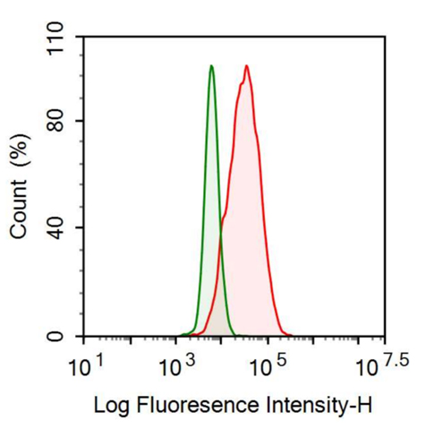 Anti-Myxovirus Resistance 1 (MX1) Monoclonal Antibody