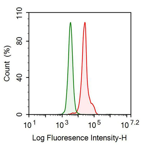 Monoclonal Antibody to Leucine Rich Alpha-2-Glycoprotein 1 (LRG1)