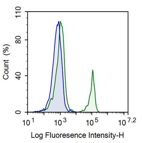 Recombinant Antibody to Tetraspanin 26 (TSPAN26)