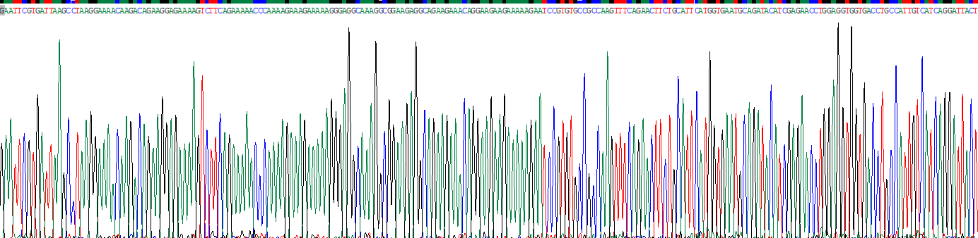 Recombinant Amphiregulin (AREG)