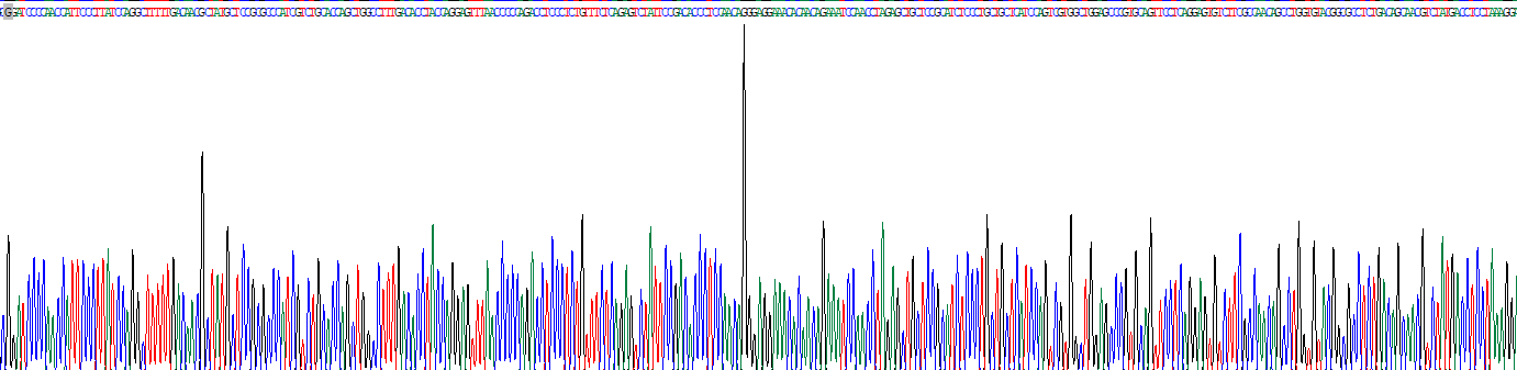 Recombinant Growth Hormone (GH)