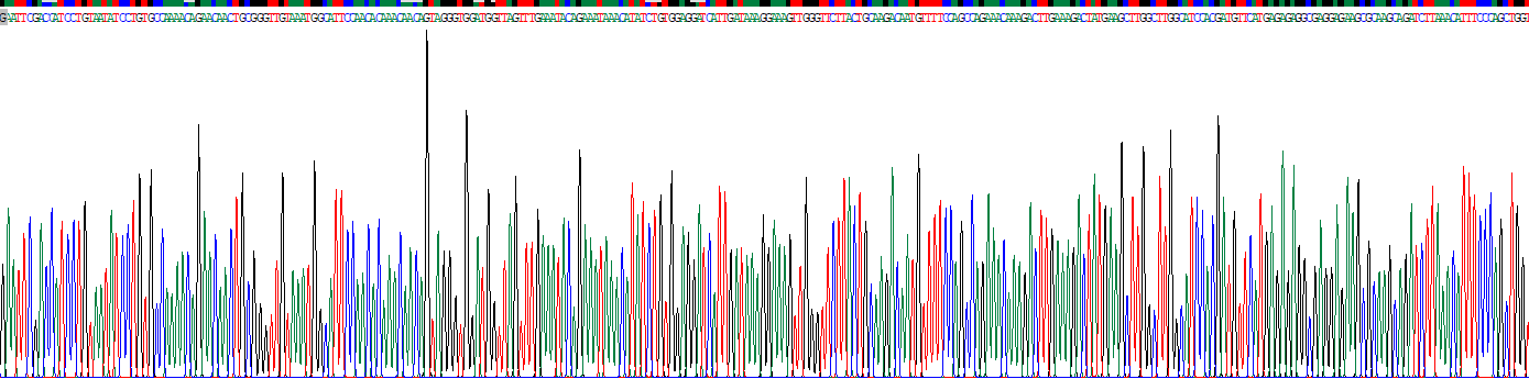 Recombinant Hepatocyte Growth Factor (HGF)