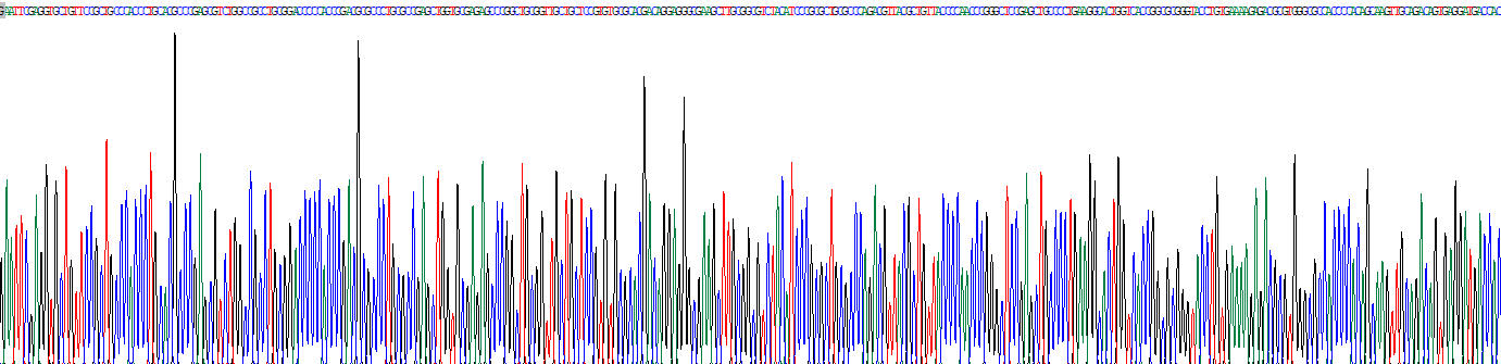 Recombinant Insulin Like Growth Factor Binding Protein 2 (IGFBP2)
