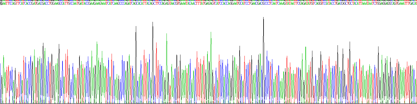 Recombinant Interleukin 1 Alpha (IL1a)